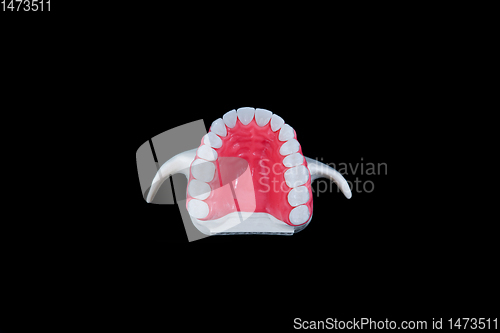 Image of Upper human jaw with teeth isolated on black background