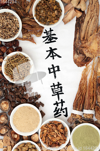 Image of Chinese Fundamental Herbs