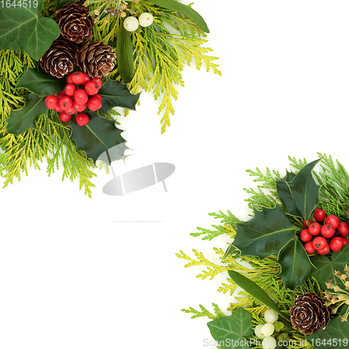 Image of Traditional Winter Holly and Flora Border