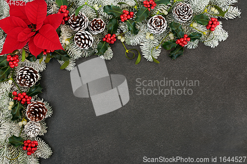 Image of Thanksgiving Poinsettia Flower Border and Winter Greenery