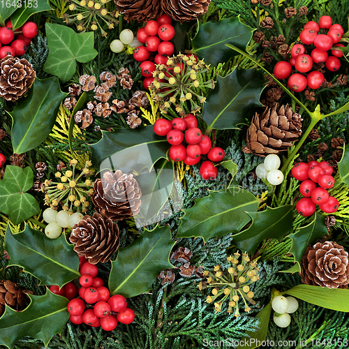 Image of Natural Winter Greenery Holly and Flora Background