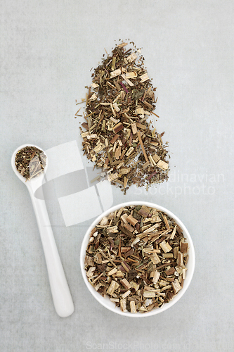 Image of Boneset Herb Used in Herbal Medicine