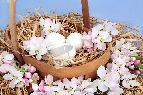 Image of Spring Apple Blossom and White Eggs in a Basket