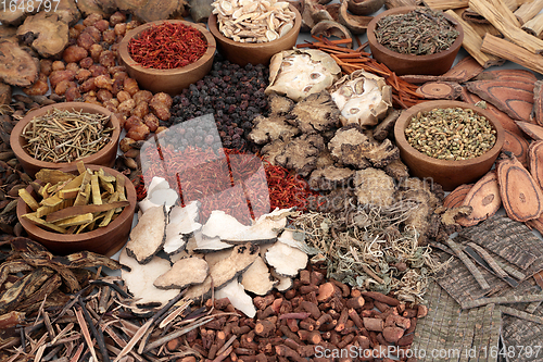 Image of Traditional Chinese Herbs for Herbal Medicine