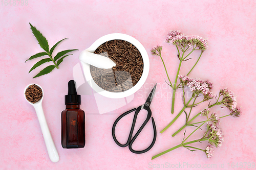 Image of Valerian Herb Root and Flowers for Herbal Medicine