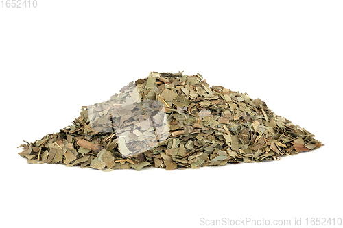 Image of Ash Herb Leaves Herbal Medicine