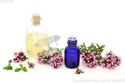 Image of Oregano Herb Essential Oil Herbal Medicine