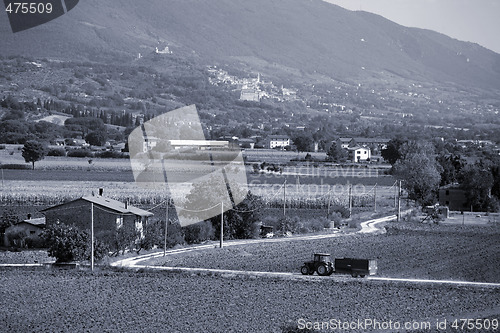 Image of Assisi - Umbria - Italy