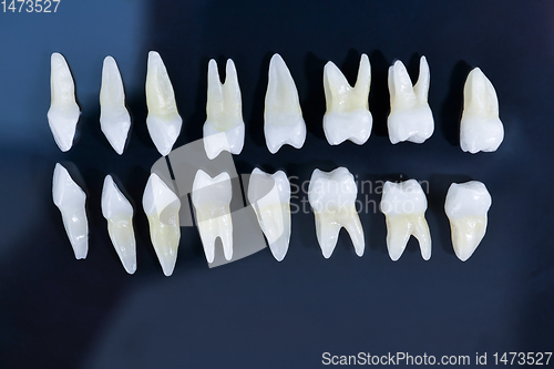 Image of Top view of white teeth on blue background