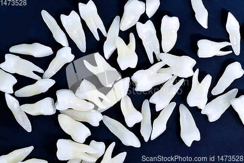 Image of White teeth on blue background