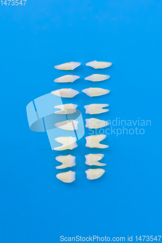 Image of Top view of white teeth on blue background