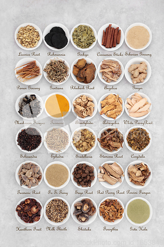 Image of Chinese Fundamental Herbs with Titles