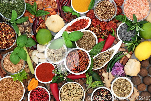 Image of Large Herb and Spice Collection for Culinary Classics