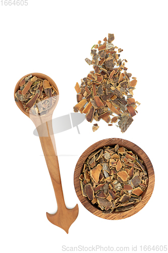 Image of Cascara Herb Bark Herbal Medicine