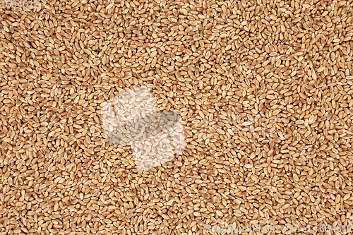 Image of Mulika Wheat Berries Background