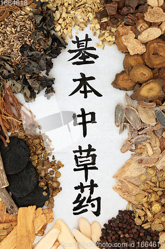 Image of Chinese Fundamental Herbs