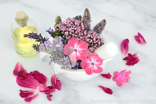 Image of Natural Herbal Medicine with Herbs and Flowers