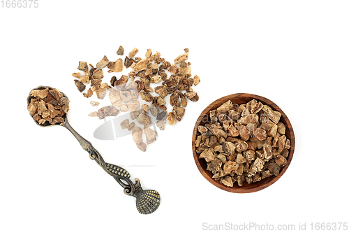 Image of Devils Claw Root Herbal Medicine