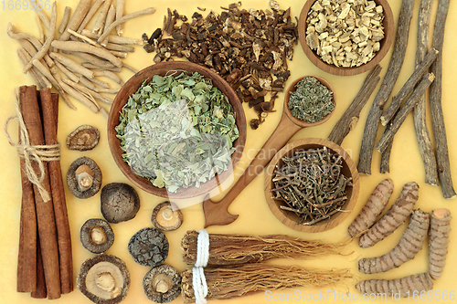 Image of Adaptogen Healthy Food with Herbs and Spice