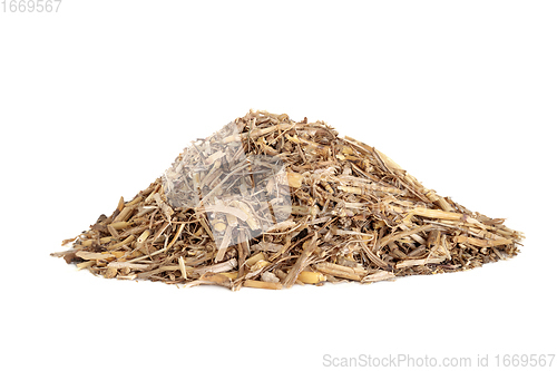 Image of Couch Grass Herb Herbal Medicine