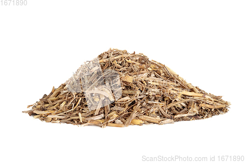 Image of Couch Grass Herb Herbal Medicine
