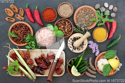 Image of Large Fresh and Dried Herb and Spice Collection 