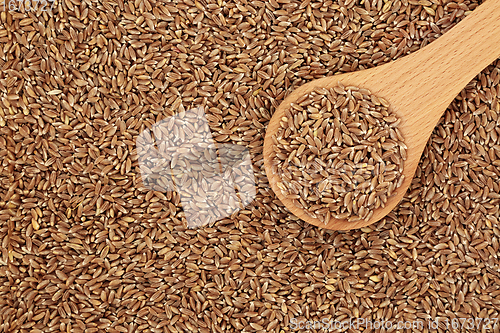 Image of Organic Emmer Wholegrain Farro Wheat