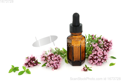 Image of Oregano Herb Essential Oil