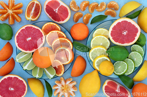 Image of Fresh Citrus Fruit Assortment 