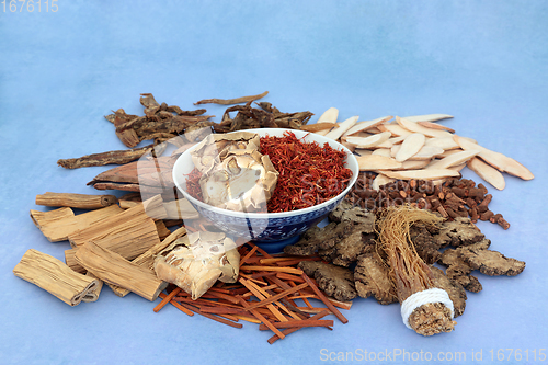 Image of Traditional Chinese Herbal Medicine Herbs and Spice  