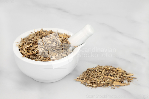 Image of Couch Grass Herb used in Herbal Medicine