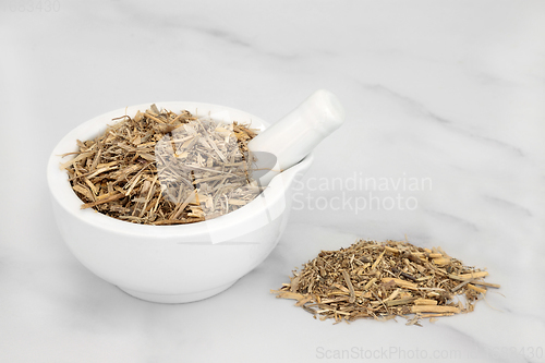 Image of Couch Grass Herb used in Herbal Medicine