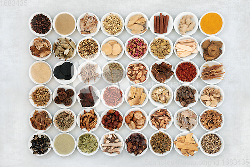 Image of Large Collection of Traditional Chinese Herbal Medicine