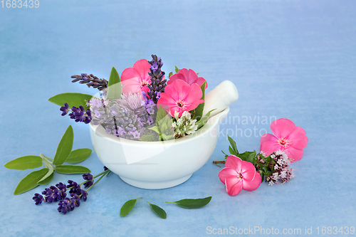 Image of Flowers and Herbs for Herbal Medicine Remedies