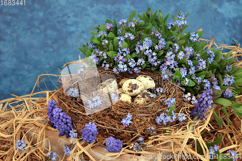 Image of Quail Eggs in a Natural Nest with Spring Flowers