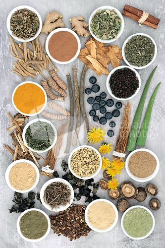 Image of Adaptogen Herbal Medicine for Stress Relief