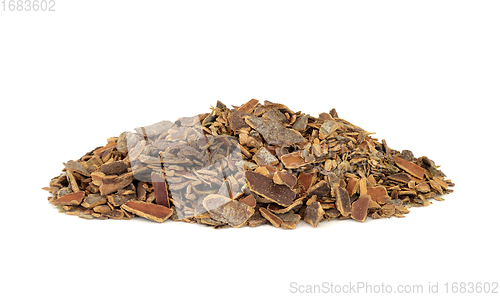 Image of Cascara Herb Bark Herbal Medicine