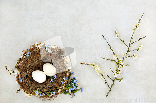 Image of Symbols of Spring with Nest and Blossom