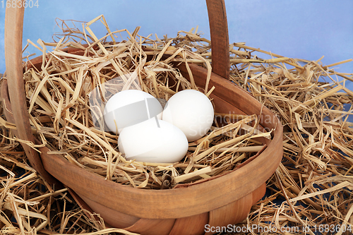 Image of Organic Healthy Eggs for Breakfast 