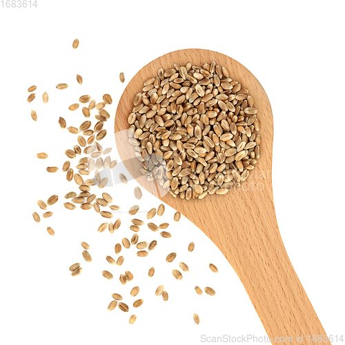 Image of Mulika Wheat Berries Healthy Food