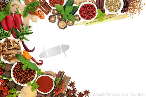 Image of Fresh and Dried Herb and Spice Background Border 