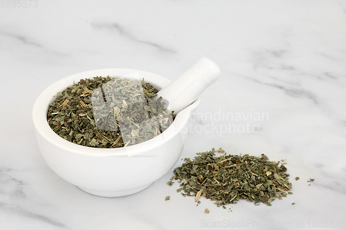 Image of Avens Herb Leaves Herbal Medicine