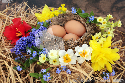 Image of Spring Birds Nest and Brown Eggs with Flowers