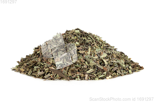 Image of Plantain Herb Leaves Herbal Medicine
