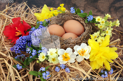 Image of Spring Birds Nest and Brown Eggs with Flowers