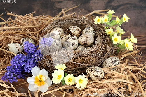 Image of Spring Quail Eggs in a Birds Nest with Flowers