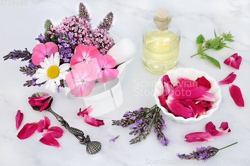 Image of Flowers and Herbs for Natural Herbal Medicine