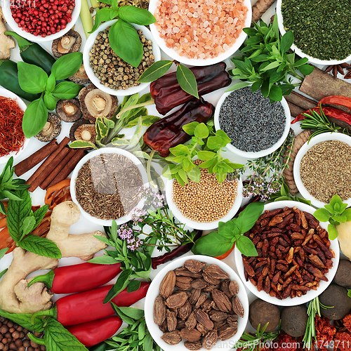 Image of Fresh and Dried Spices and Herbs Seasoning