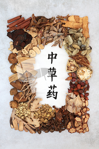 Image of Chinese Healing Herbs