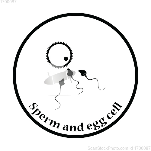 Image of Sperm and egg cell icon